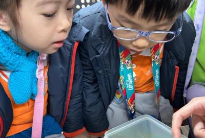 1a6a9edb-048c-43c7-b93a-e6766ae9bbef