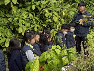 低班參觀 - 鳳園文化生態導賞團