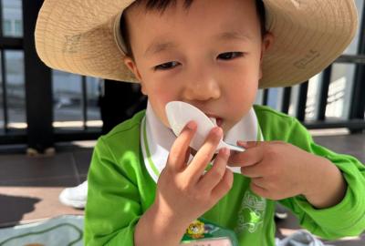 0317520ac5b68f02a1b091927086b517