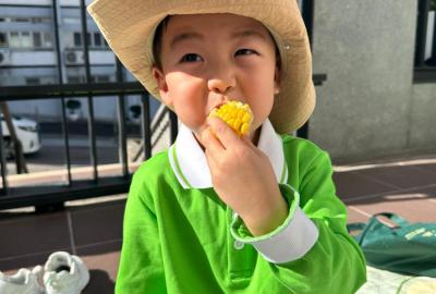 47385fe3b544f0523b610890be75ef20