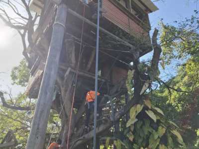 高班戶外活動 - 樹屋田莊